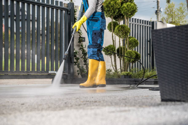 Best Dumpster Area Cleaning  in Wilson, WY